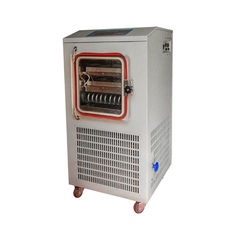LGJ-10FD（电加热）普通型原位冷冻干燥机